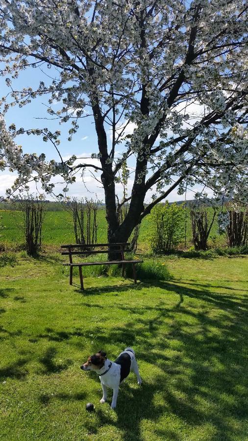 Ferienhaus Stolle Lawalde Luaran gambar